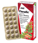 Floradix Herbal Iron Supplement Tablets - 84 tabs