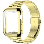 iitee Compatible with Apple Watch Strap 40mm SE/Series 6 5 4, Upgraded Stainless Steel Link Replacement Band with iWatch Screen Protector Case Gold/Gold