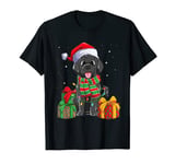 Black Labrador Retriever Christmas Lights Xmas Lab Dog Lover T-Shirt