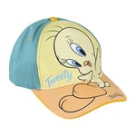 CERDÁ LIFE'S LITTLE MOMENTS Unisex Baby Gorra Looney Tunes Piolin Tweety hat for kids, pink and yellow, 2-4 Years UK