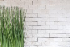 mosaik ws face brick colonial white limestone 2,3x4