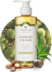 Tree to Tub Fragrance Free Shampoo for Dry & Sensitive Scalp - Gentle Unscented