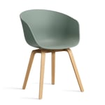 HAY About a Chair 22 stol 2.0 Fall green-lackerat ekstativ