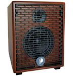 Prodipe Natural 6 Acoustic Amp – Cherry Wood