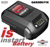 HAYTER Harrier 41 561J 31600-316999 InStart LithiumION Starting BATTERY 134-6132