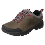 Mens Merrell Waterproof Walking Shoes 'Forestbound WP J034777'