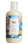 R+CO Gemstone Color Shampoo 251ml
