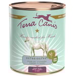 Ekonomipack: Terra Canis Grain Free 12 x 800 g - Häst med kålrot, fänkål & salvia