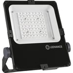 Floodlight Performance 50W 3000K 570lm, asymmetrisk 45x140