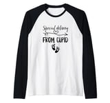 Special Delivery From Cupid Valentines Day Couples Pregnancy Raglan Baseball Tee