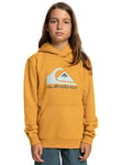 Quiksilver Garçon Big Logo Sweatshirt capuche, Bright Gold, 8 ans EU