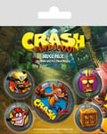 Crash Bandicoot | Badges 5-Pack | Pop Out