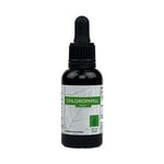 Lime Pharma Chlorophyll Drops - 30 ml