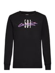 Levi's Levi's® 501 Archival Long Sleeve Tee Svart