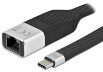 Delock USB-C til Fladt RJ45 kabel - 10/100/1000 Mbps - 15 cm