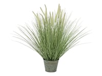 EUROPALMS Ornamental blooming grass, artificial, 70cm, Europalms Dekorationsgräs, blömmande metallkruka 70cm