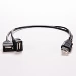USB 2.0 A hane till 2 dubbla USB hona Jack Y Splitter Hub Power C Svart 1:a Svart 1st