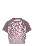 Adidas Sportswear Jg Pri Tee Burgundy