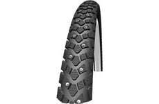 Schwalbe Winter