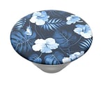 PopSockets PopTop (Top only, Base sold separately) - Swappable Top for Your Swappable PopGrip - Blue Island