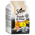 Sheba Fresh & Fine -säästöpakkaus 72 x 50 g - kana & kalkkuna kastikeessa