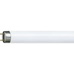 Philips - jamais utilise] tl-d 16W lampe fluorescente G13 Blanc