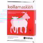 Provtagningskit Vidilab KollaMasken Får/Get