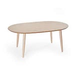 BIRGER Team soffbord askfanér 120x75 cm