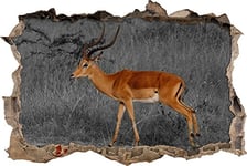 pixxp Rint 3D WD s4303 _ 92 x 62 élégant Gazelle Dorcas dans la Savane percée 3D Sticker Mural Mural en Vinyle, Noir/Blanc, 92 x 62 x 0,02 cm