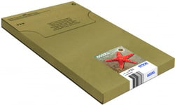 Epson Multipack 603XL 4-pack Easymail Sjöstjärna Svart för 500 sidor, cyan, magenta, gul 350 sidor