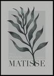 H. Matisse Poster - 50x70cm