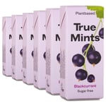True Mints Pastiller, 6-pack, Blackcurrant