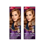 Wella Wellaton Light Brown 7/7 Hair Color Kit Professional Salon Quality