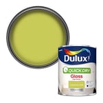 Dulux Quick Dry Gloss Paint For Wood And Metal - Luscious Lime 750Ml