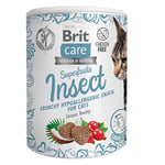 Brit Care Superfruits & Insect, Kattgodis, 100g