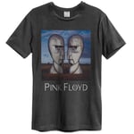 Amplified Unisex Adult The Division Bell Pink Floyd T-Shirt L Grey