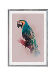 Komar Cadre photo en bois avec art « Animals Paradise Parrot » en kit – Dimensions : 50 x 70 cm – Tableau mural, décoration, perroquet, oiseau