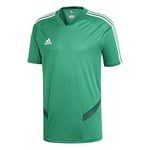 Adidas Men's TIRO19 TR JSY T-Shirt, Bold Green/White, ST
