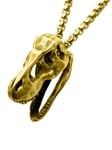 Inox T-Rex Skull Halskjede - Gull