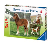 Ravensburger - 09254 3 - Puzzle - L'Amitié Des Poneys - 3 x 49 Pièces