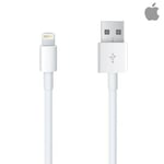 Original Apple USB to Lightning Charging Cable (MXLY2ZM/A) For 14/13/12/11/X/8/7
