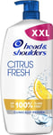 Head And Shoulders Anti Dandruff Shampoo Citrus, Clarifying Shampoo For Up To 1