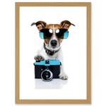 Funny Photo Jack Russell Dog Shades Camera Artwork Framed Wall Art Print A4