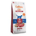 Calibra Life Senior Medium Breed med färskt nötkött - Ekonomipack: 2 x 12 kg