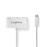 USB Multi-Port Adapter | USB 3.1 | USB-C Hane | USB-A Hona / USB-C Hona / VGA hona 15p | 5 Gbps | 0.20 m | Rund | Nickelplater