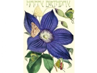 Madame Treacle B6-kort med kuvert Födelsedagsklematis
