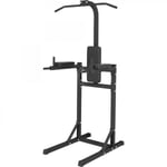Power Tower Chins Dips Benlyft