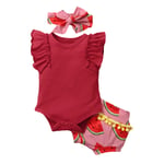 HINK Baby Outfit Unisex,Infant Baby Girls Ruffle Romper Bodysuit Watermelon Print Tassels Shorts Outfits 3-6 Months Red Girls Outfits & Set For Baby Valentine'S Day Easter Gift