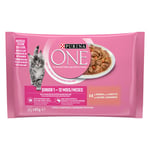 Purina ONE Junior Lax & morötter - 24 x 85 g Lax & morötter