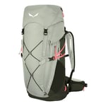 Salewa Alp Trainer 35+3 38l Backpack One Size